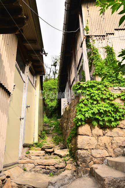 달동네,재개발,가난,빈민촌,판자촌,소외,마을,집,하우스,초라한,poor,poorhillsidevillage,낡은,anoldhouse,old,오래된,세월