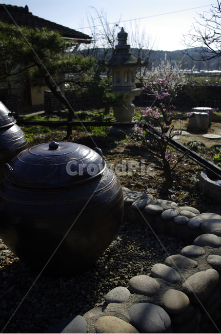 옹기,항아리,마당,전통,석탑,한국전통,한국문화,korean traditional,korean culture,사물,물건,오브젝트,thing,object,matter