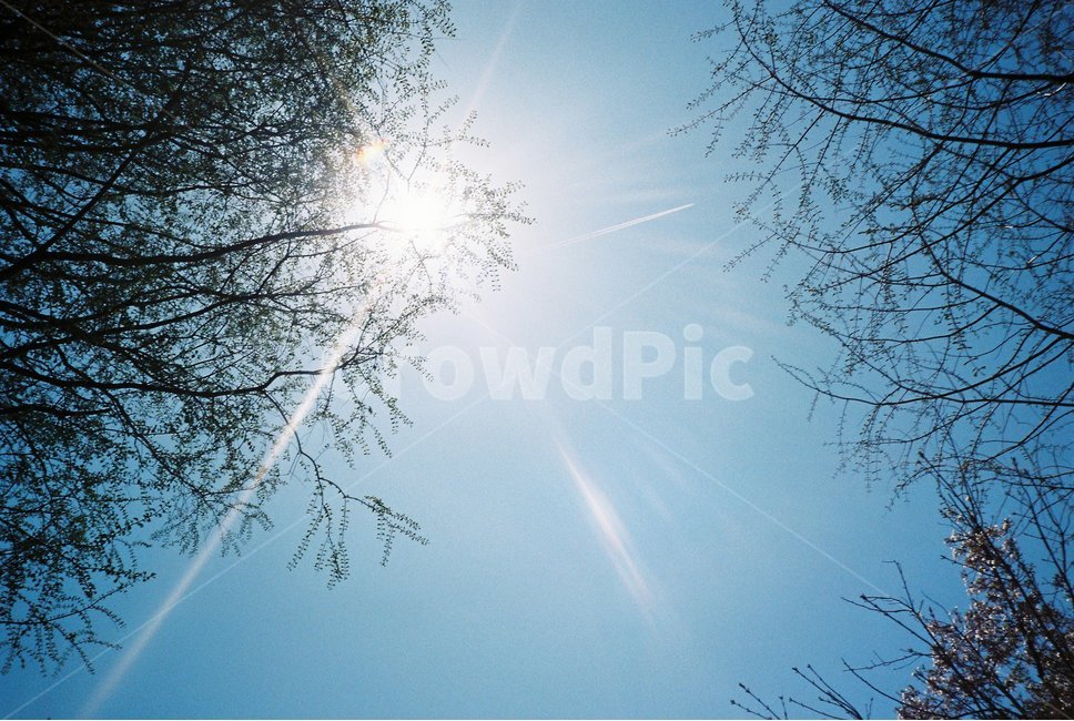 해,햇빛,맑음,파란,하늘,자연,풍경,nature,landscape,light,빛,flare,플레어,sunlight