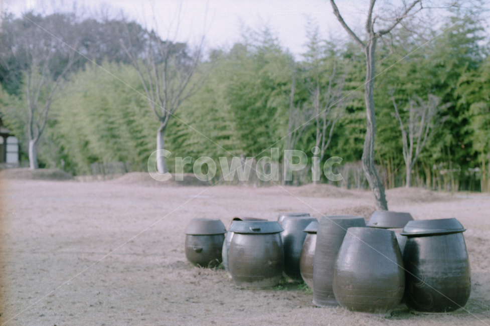 항아리,필름,감성,잔디,옛모습