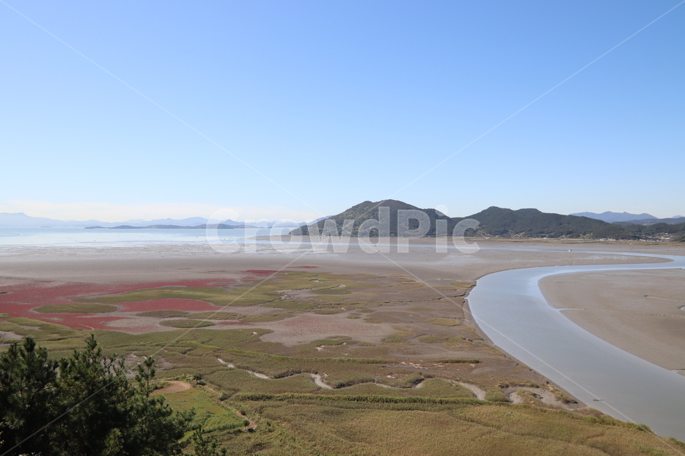 scenery,풍경,outdoors,옥외,자연,landscape,경치,순천만,갯벌