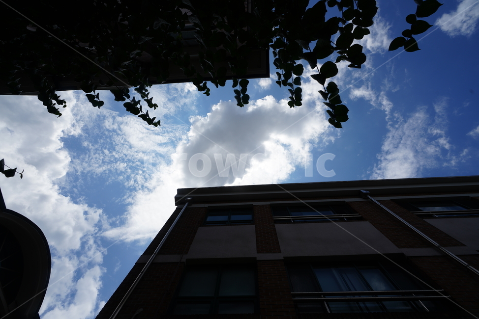 하늘,구름,파랑,blue,sky,cloud,건물,날씨,맑은날,햇살