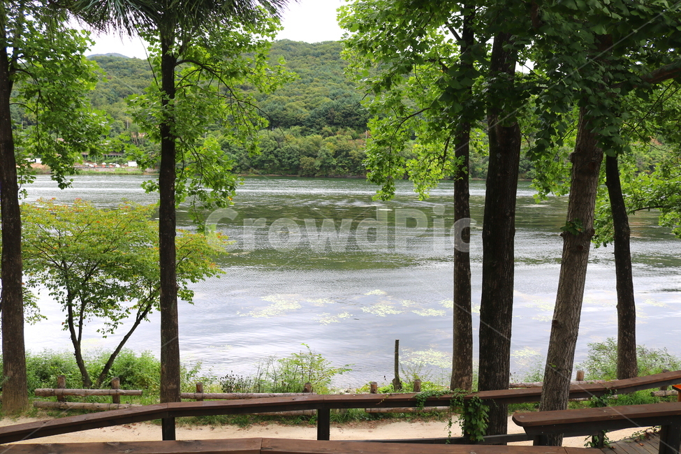 강,한강,남이섬,북한강,산,나무,자연,풍경,물,자연,풍경,nature,landscape,tree,plant,식물