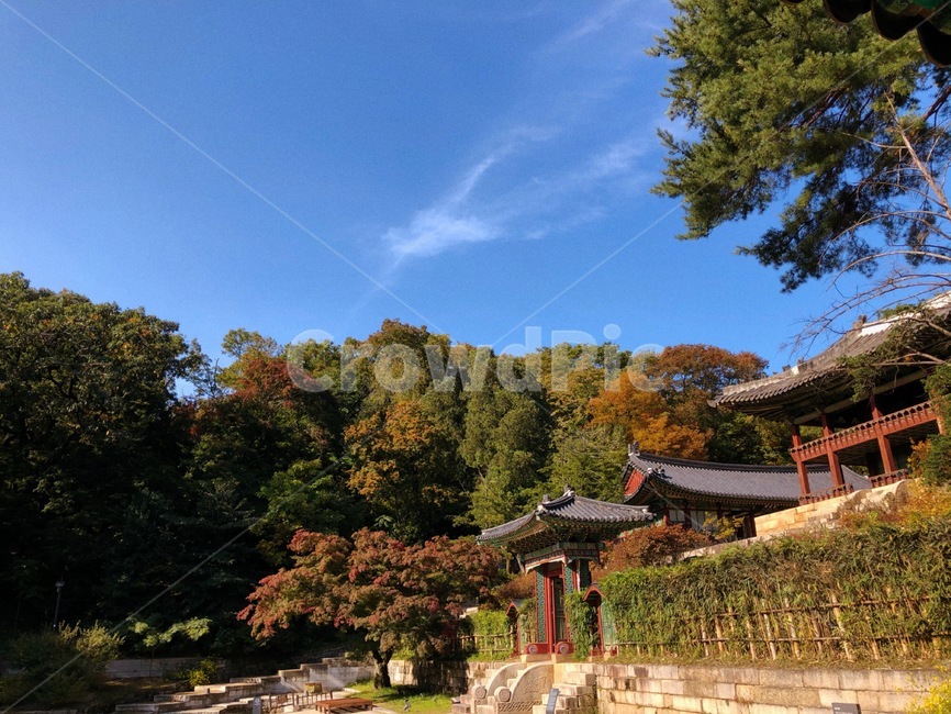 changdeokgungpalace,창덕궁,창덕궁후원,한국관광지,유명관광지,한국궁궐,풍경,경치,낙엽,architecture,building