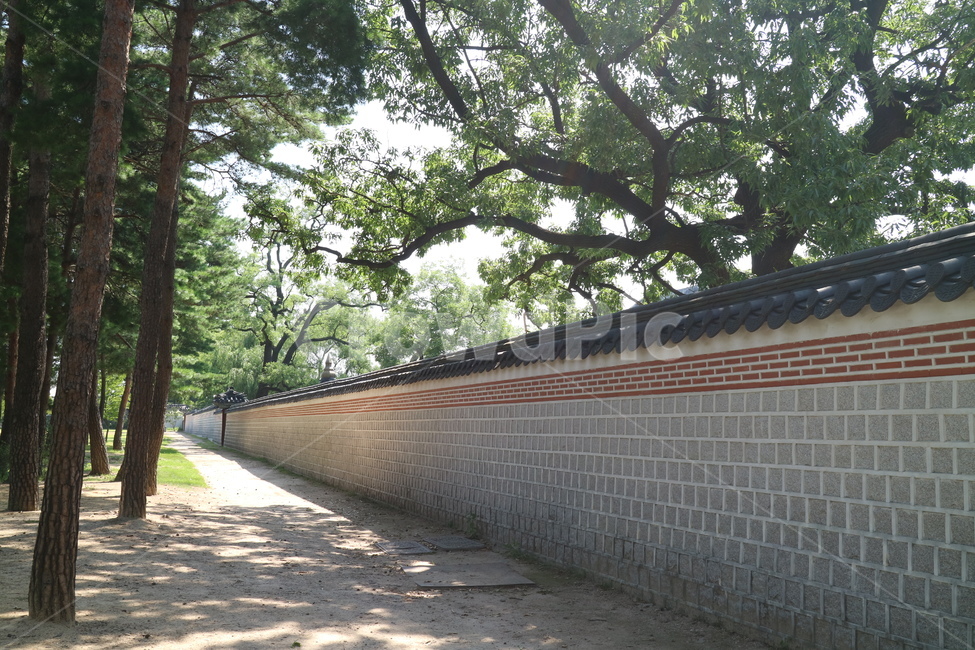 궁전,고궁,한국전통,한국,건축,건물,동양건축,전통가옥,한옥,전통,민속,문화재,담,담장,벽,한국전통,한국문화,korean traditional,korean culture,건축물,건물외관,exterior,building,structure,architecture,construction