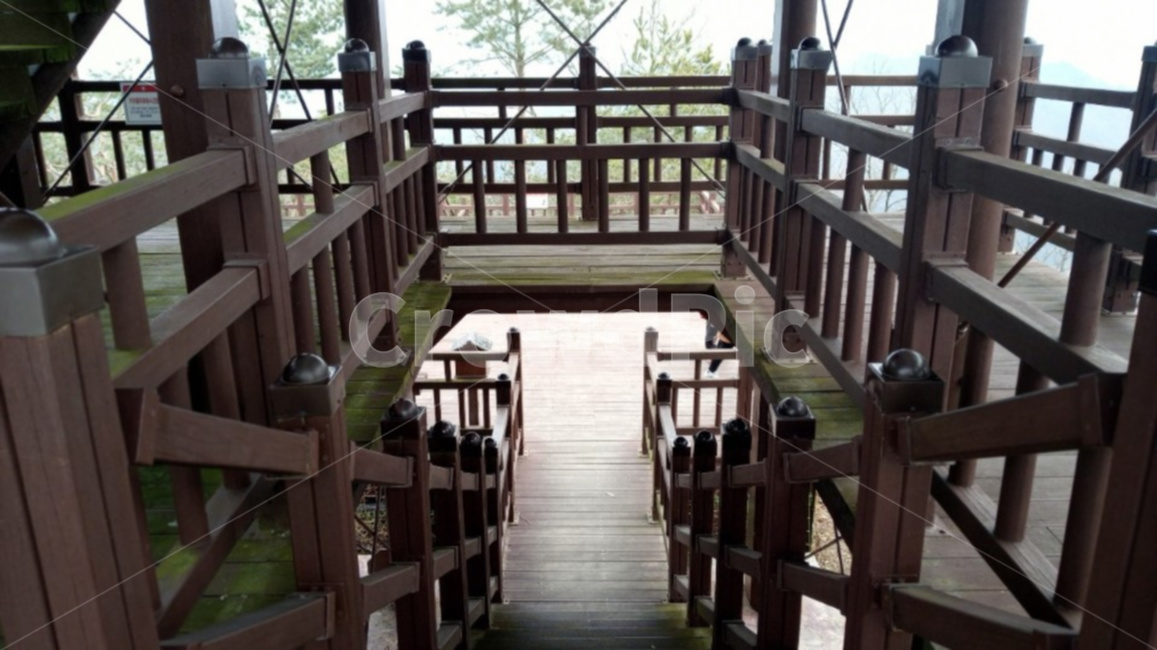 난간,나무,정자,청남대전망대,전망대