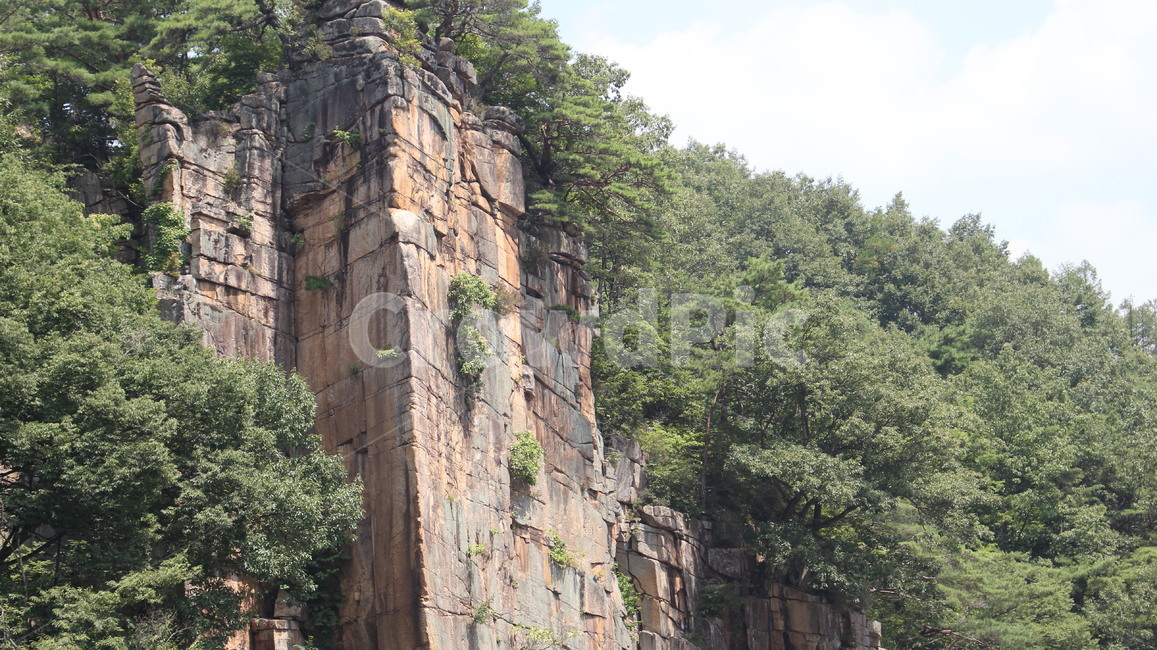 단양팔경,사인암,절벽,나무,풍경,자연환경,돌,명승,단양,자연,풍경,nature,landscape,한국자연풍경,한국자연경관,korea nature landscape,outdoors,옥외,cliff,낭떠러지