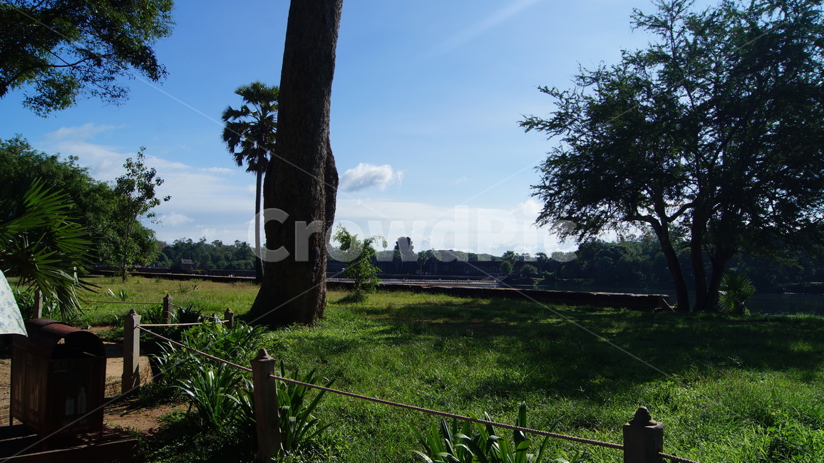 trees,tree,forest,cambodia,sky,blue,cloud,road,park,garden,river,landscape,rock,green,nature,sun,sunny,sunnyday,나무,하늘,공원,숲,캄보디아,강,풍경,자연,잔디,해,풀