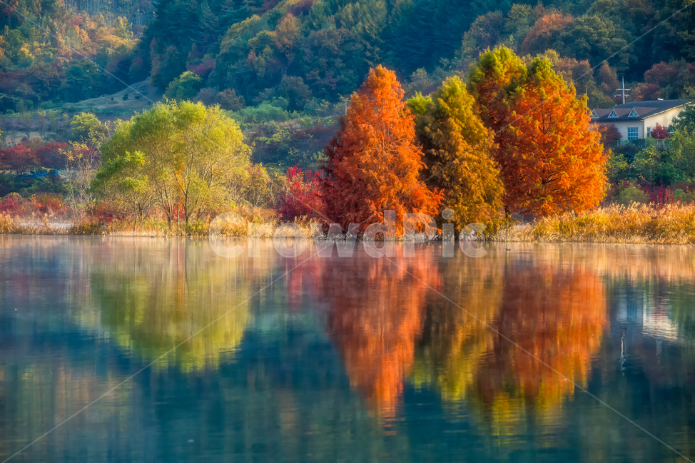 가을풍경,가을,반영,자연,nature,용담호,tree,plant,가을,계절,fall,autumn,season,자연,풍경,nature,landscape,한국자연풍경,한국자연경관,korea nature landscape