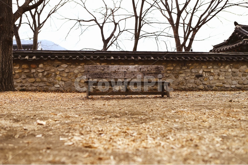 감성,사진,분위기,일상,풍경,의자,가을,겨울,우울,가을,계절,fall,autumn,season,겨울,winter,한국전통,한국문화,korean traditional,korean culture,건축물,건물외관,exterior,building,structure,architecture,construction,furniture,가구,bench,벤치