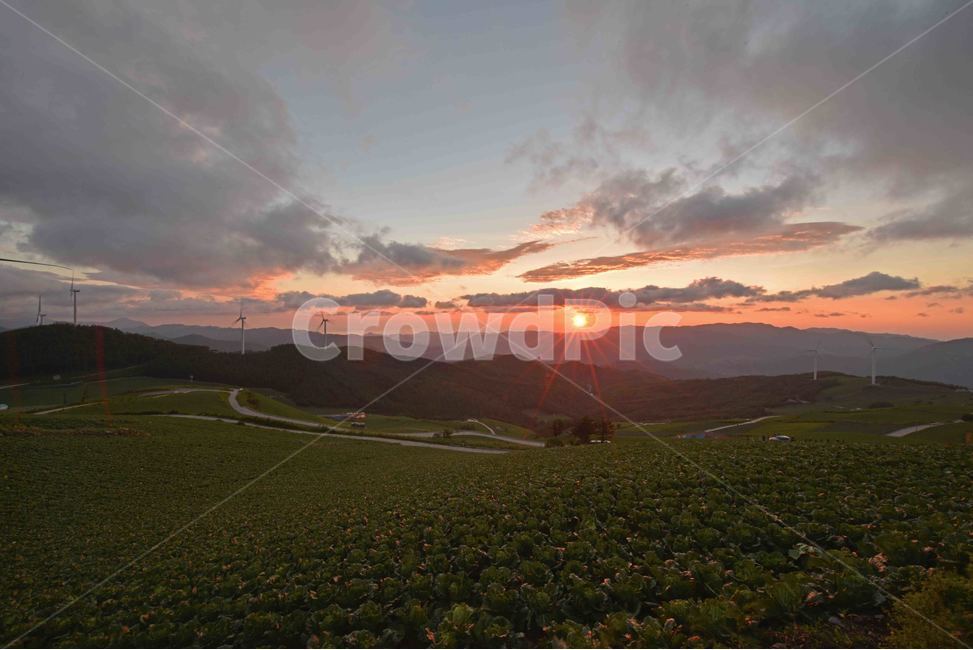 일출,매봉산일출,sunrise,sunup,해돋이,매봉산,풍경,자연,감성