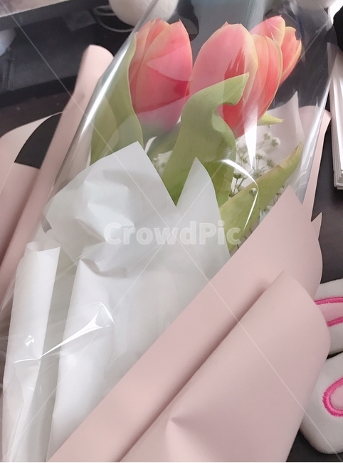 꽃,꽃다발,분홍,튤립,핑크
