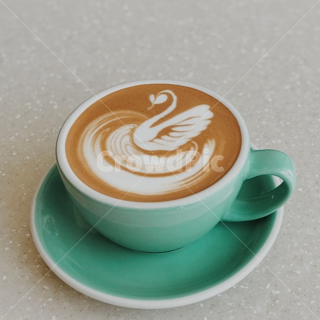 스완,백조,라떼아트,커피,카페,커피,카페,coffee,cafe,감성,sensible,feeling