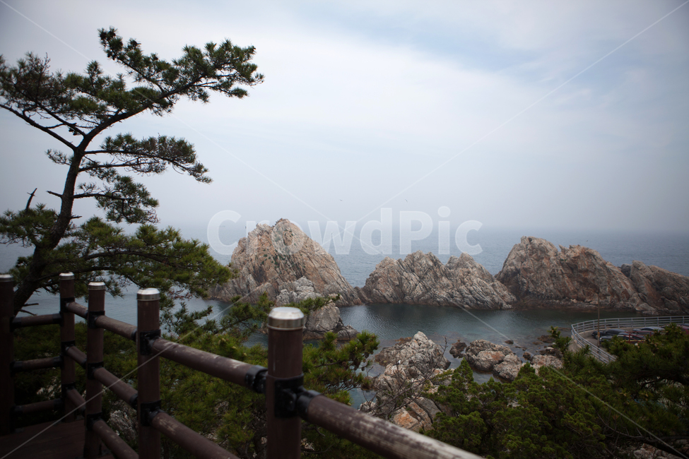난간,handrail,promontory,banister,railing,바위,바다,나무,하늘,암초,풍경,동해,삼척,장호항,wave,sea