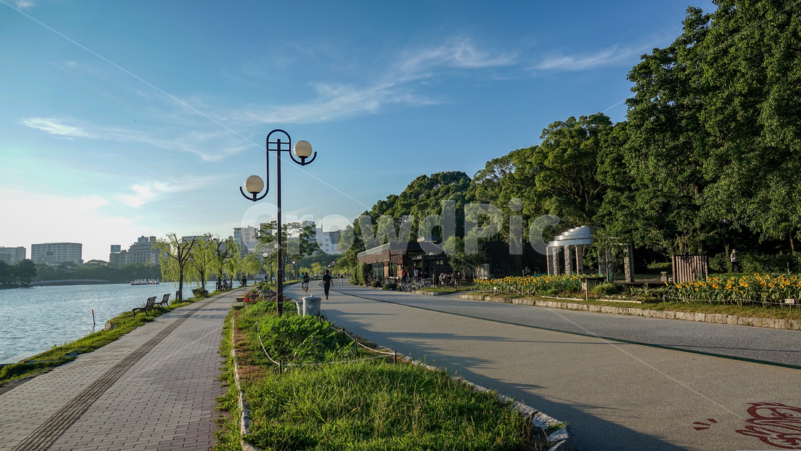 오호리공원,후쿠오카,공원,풍경,핑크빛노을,호수,park,오호리코엔,fukuoka,감성,자연,나무,다리,산책,벤치,asphalt,아스팔트,road,도로