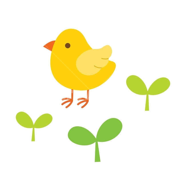 병아리,새싹,잎,봄,식물,동물,노랑,자연,일러스트,귀여운,illustrarion,sprout,vector,plant,spring,cute,design,봄,계절,spring,season,그래픽,일러스트레이션,graphic,illustration