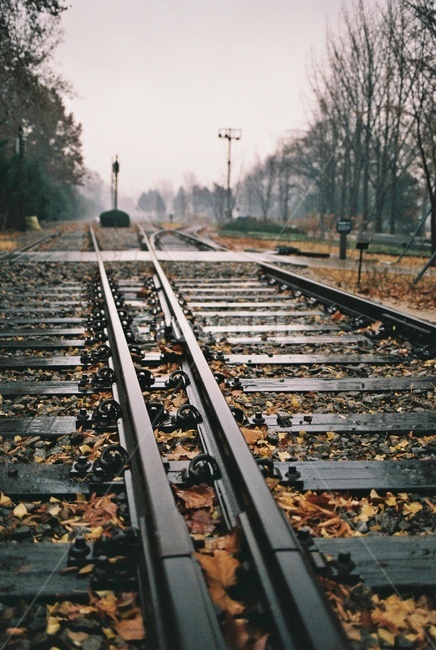 철길,비오는날,철로,낙엽,railroad,railway,rainyday,fallenleaves,가을,계절,fall,autumn,season,감성,sensible,feeling,비,비오는날,rain,rainy,교통,교통수단,traffic,transportation,철도,train track,기찻길,rail,레일