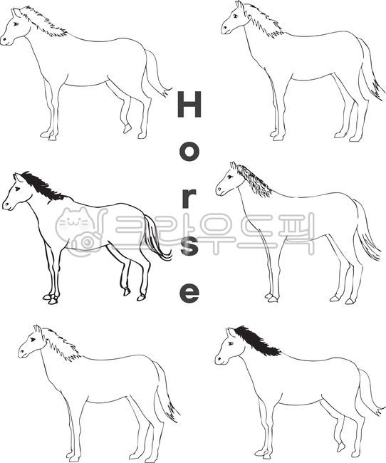 말,horse,동물,스케치,드로잉,손그림,옆모습,포유동물,벡터