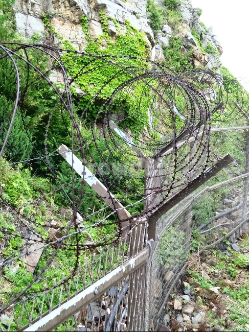 철조망,울타리,산,가시철조망,철구조,철책선