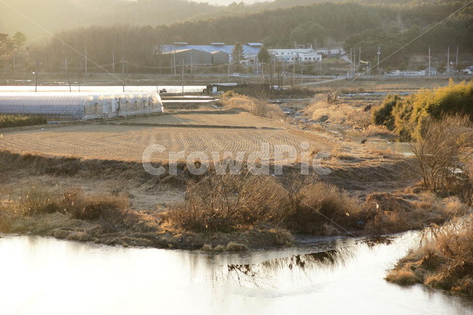 풍경,노을,강,논,밭,비닐하우스,시골,자연,풍경,nature,landscape,시골,마을,country,rural,town,outdoors,옥외