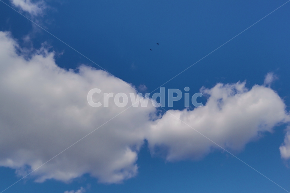 nature,자연,sky,하늘,구름,cloud,맑은하늘,예쁜구름,푸른하늘