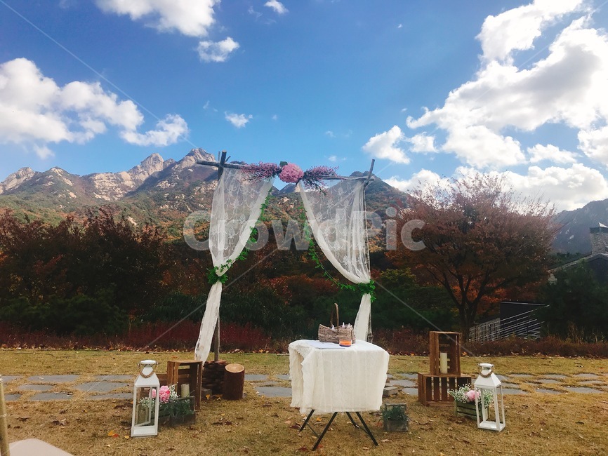 셀프웨딩,야외결혼식,야외결혼식장,selfwedding,웨딩아치장식,weddingarch,야외결혼식꾸미기,야외결혼식세팅,스몰웨딩,결혼,혼례,웨딩,wedding,marriage,marry