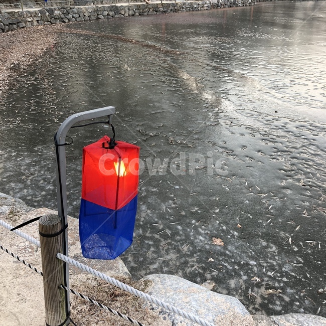 겨울,연못,자연,언,아침,역사