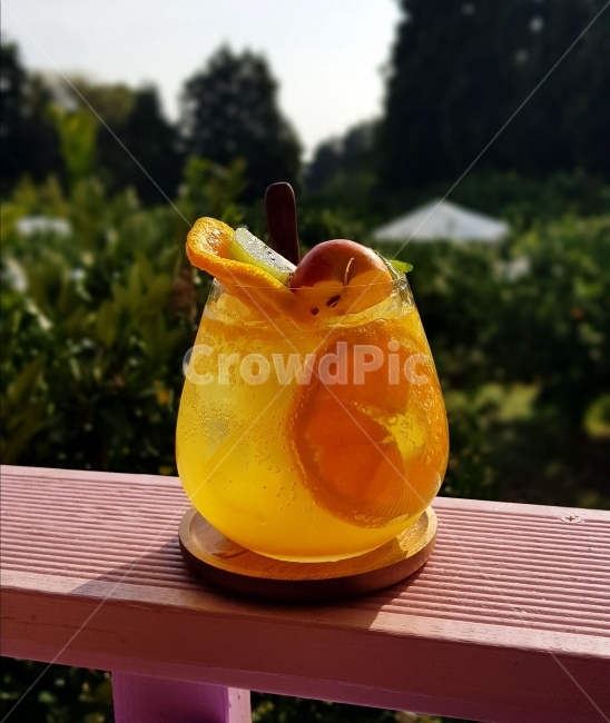 mandarin,Tangerine farm,Lemon Tea,Tangerine Juice,Tangerine field,jeju island,tangerines