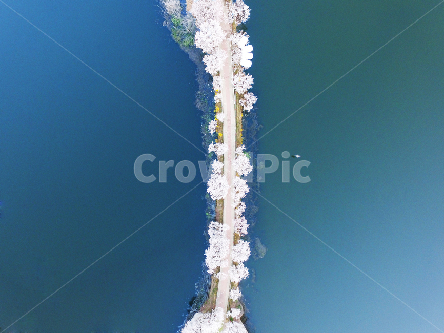 outdoors,옥외,nature,자연,드론,항공사진,물,water