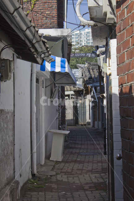 한국,대한민국,서울,성북구,낮,도로,건축,길,골목,골목길,보도블럭,벽,벽면,벽돌,벽돌집,집,하우스,주택,좁은,좁은골목,도시,물받이,기와,배관,문,대문,입구,전깃줄,천막,건물,골목길,alley,road,urban,어반,town,city,시티,street,거리,building