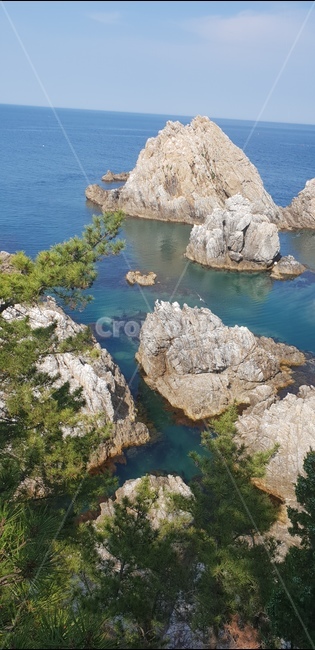 바닷가,깨끗한물,해변,바다,정호항,삼척,바위