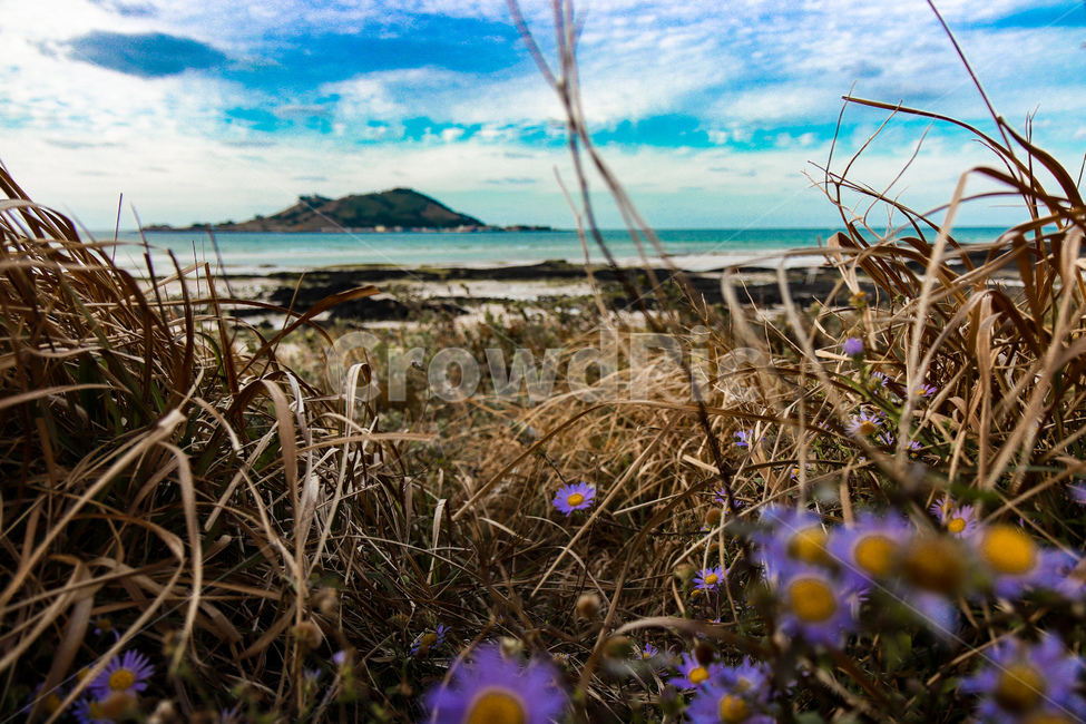 제주도,금능해변,비양도,금능해수욕장,제주,금능,제주해변,자연,풍경,nature,landscape