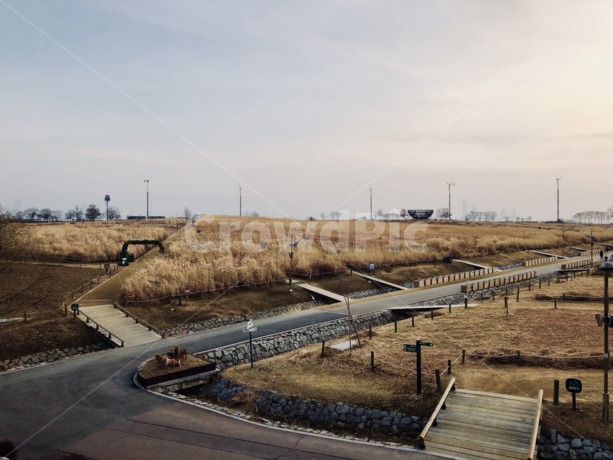 하늘공원,서울,하늘,야외,해질녘,산책,sky,park,sunset,자연,풍경,nature,landscape,road,도로