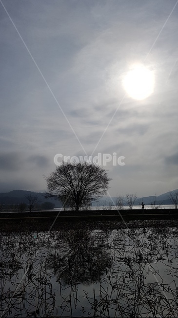 자연,외로움,적막,아침,쓸쓸함