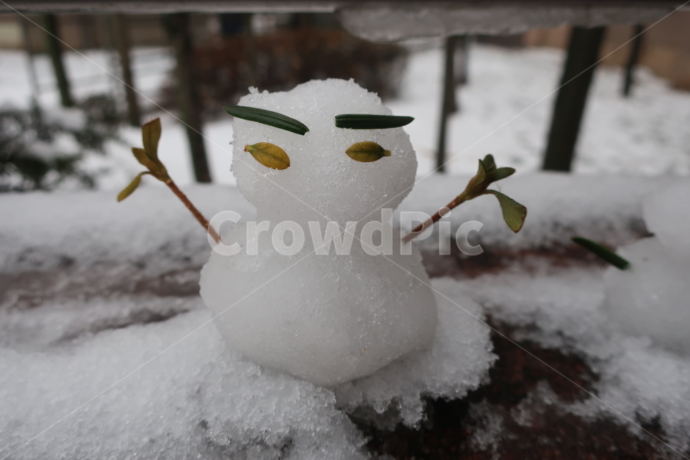 눈사람,눈,겨울,snowman,snow,겨울,계절,winter,season