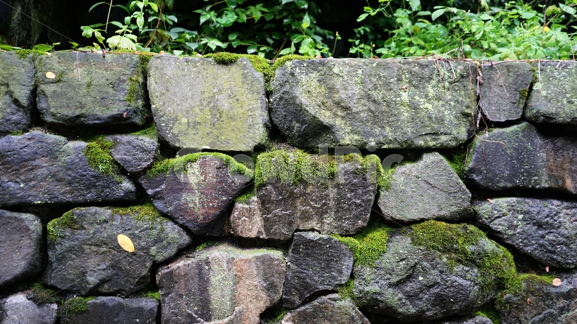 돌,축대,견고,건축,인공,구조물,안전,rock,embankment,strong,solid,sturdy,safety,배경,background,stone,moss,이끼,건축물,건물외관,exterior,building,structure,architecture,construction