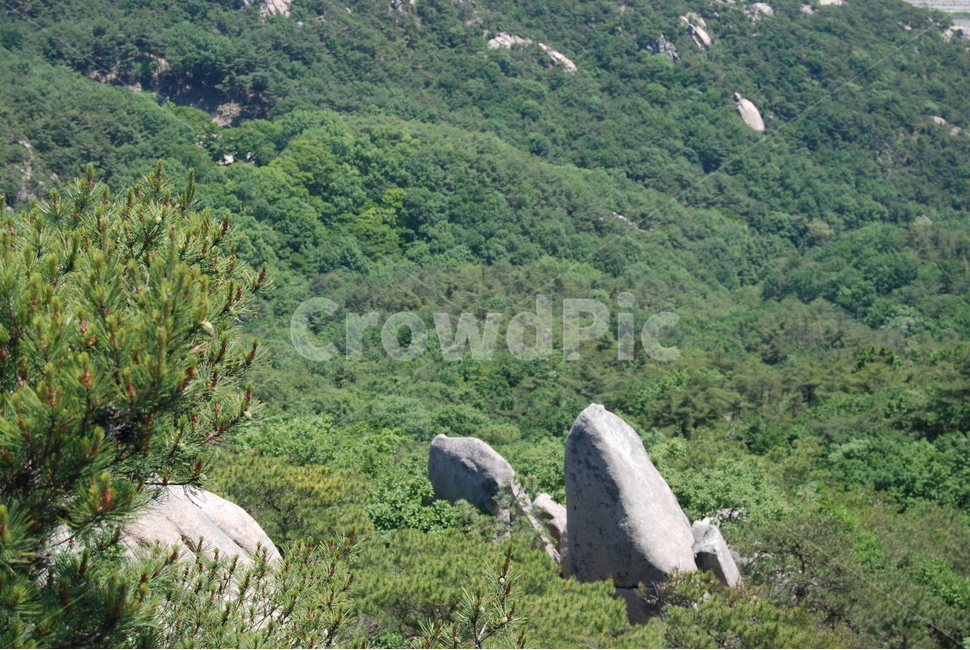 바위,rock,mountain,tree,nature,자연,풍경,nature,landscape,outdoors,옥외,slope,경사,vegetation,초목,plant,식물
