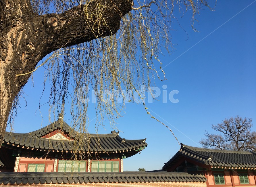 경복궁,문화재,유적,문화,전통,자연,한국전통,한국문화,korean traditional,korean culture,랜드마크,landmark,tourist attraction,한국랜드마크,한국관광지,한국명소,korea landmark,korea tourist attraction,건축물,건물외관,exterior,building,structure,architecture,construction