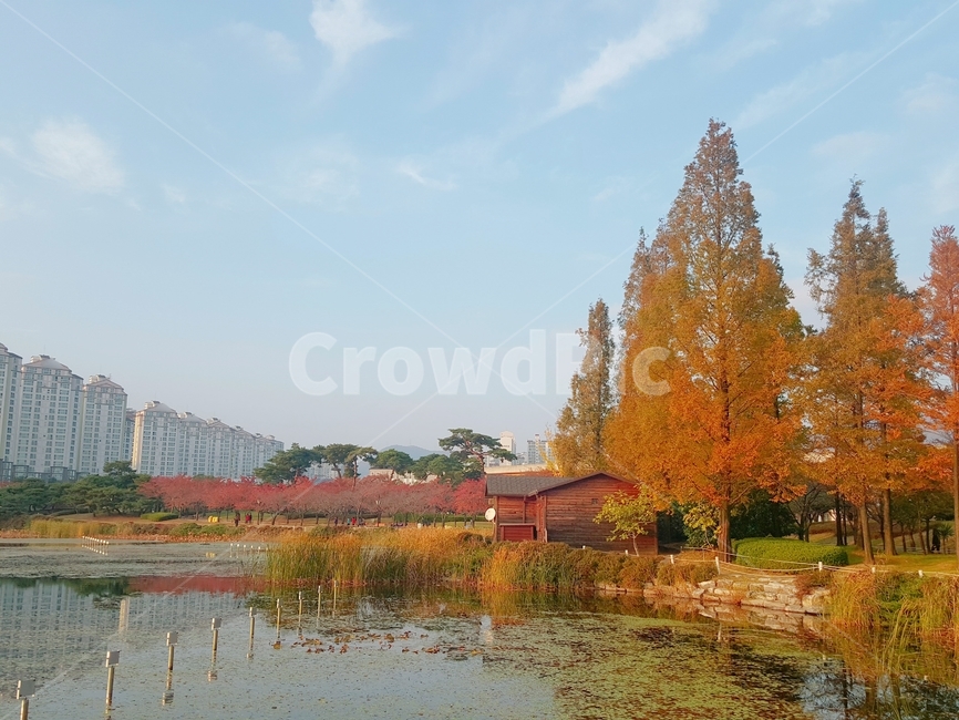 공원,가을,연못,하늘,구름,가을하늘,nature,자연,outdoors,옥외,water,물,tree,나무,plant,식물