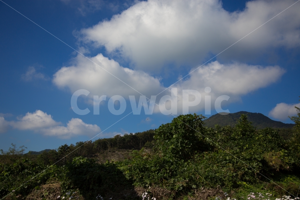 가을,파란하늘,늦가을,뭉개구름,배경,자연,풍경,자연,풍경,nature,landscape,한국자연풍경,한국자연경관,korea nature landscape,weather,날씨,outdoors,옥외,sky,하늘,cumulus,적운,cloud,구름
