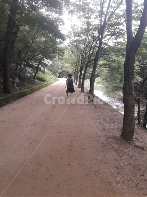 뒷모습,등산,산책,산,문경새재