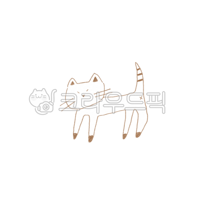 character,Carrot Rabbit,turtle,animal character,cat,rabbit,animal