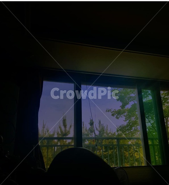 나무,풍경,구름,파란하늘,여름,맑은하늘,하늘,초록색,파란색,하얀색,sky,cloud,tree,녹색