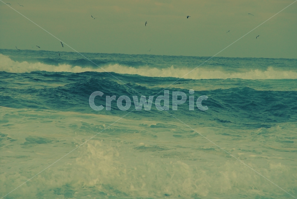 바다,파도,갈매기,정동진,여행,감성,겨울,순간,자연,풍경,nature,landscape,water,물,sea,ocean,대양,outdoors,옥외