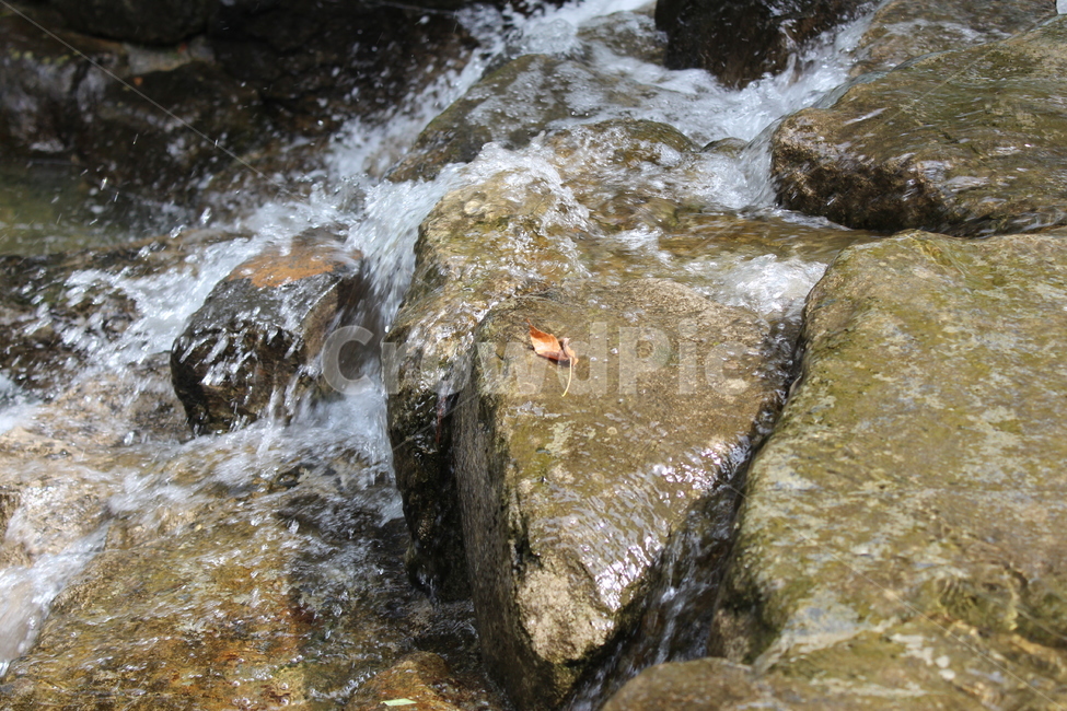 계곡,물,자연,여름,풍경,흐름,nature,landscape,water,계절,깨끗함,감성,단풍