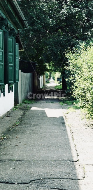 길,road,숲,나무,forest,tree,자연,풍경,nature,landscape,building,건물,street,거리,town,도시,urban,어반,city,시티,도로