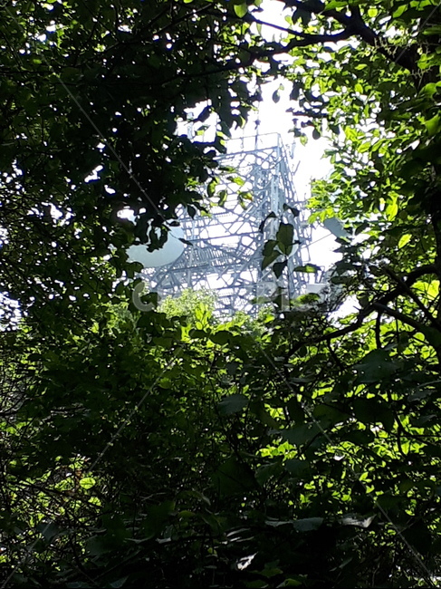 청계산,방송탑,숲속,감성사진,경관