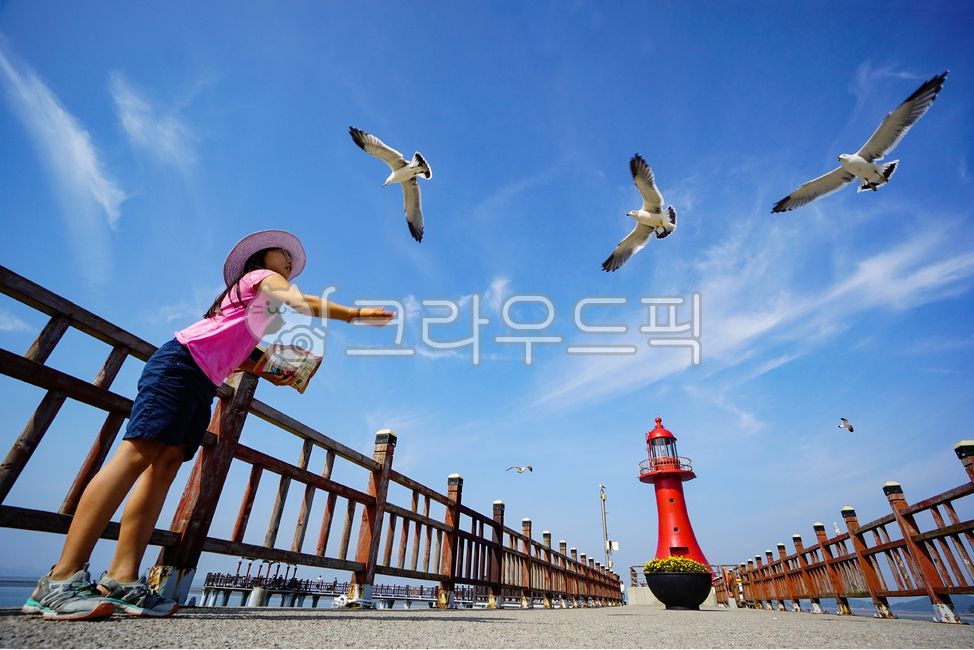 play,blue sky,seabird,woman,lighthouse,Hwaseongsi,snack,red lighthouse,childish,clouds,summer,Gyeonggido,elementary school student,feeding,bird,concentric,vacation,hat,Seagull,emotional photo,sympathy,human,gull,fishing pier,Korea,republic of korea,wallpa
