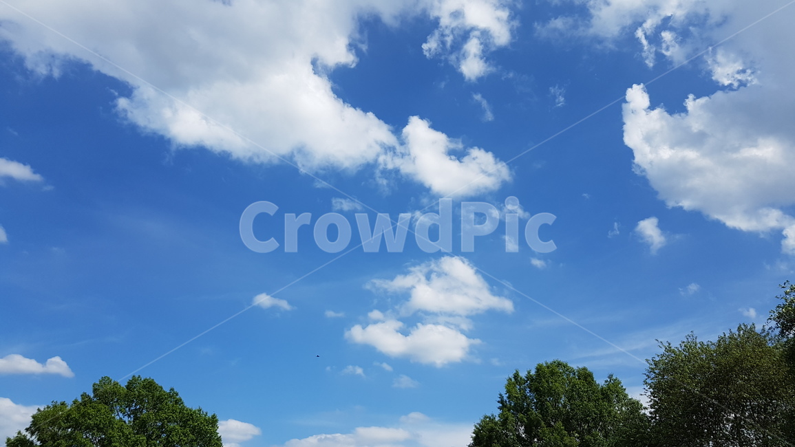 하늘,파란하늘,구름,구름하늘,sky,cloud,bluesky
