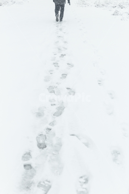 사람,person,footprint,발자국,겨울,눈보라,눈,겨울,계절,winter,season
